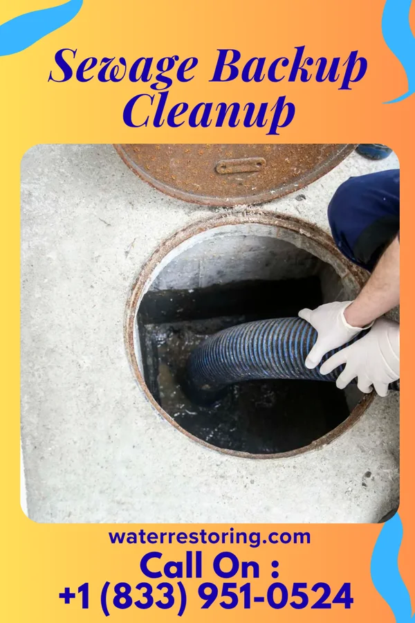 Sewage Backup Cleanup in Lake Hamilton, AR